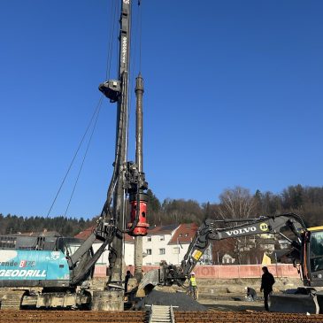 IMG_20260305_083540.HEIC_compressed